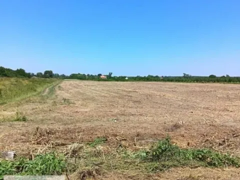 Zemljište in Skela