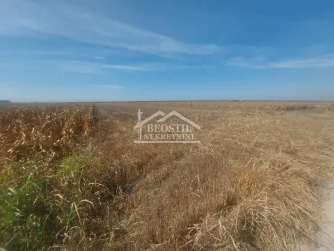 Prodaja, plac, 16000m², Batajnica, Beograd - image 2