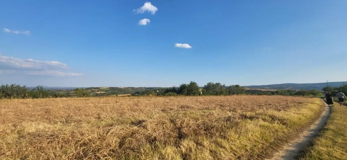 Prodaja, plac, 1438m², Petrovaradin, Novi Sad