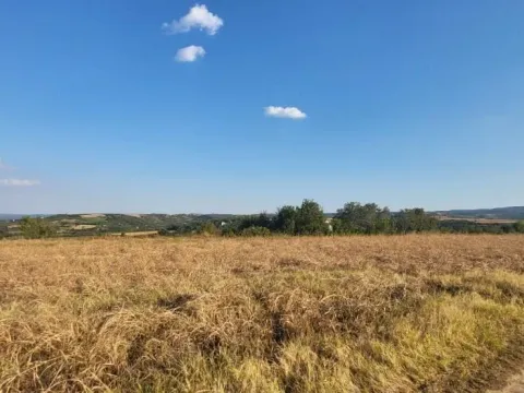 Prodaja, plac, 1438m², Petrovaradin, Novi Sad - image 5