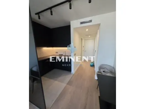Rent, one bedroom apartment, 34m², Novi Beograd Blok 65, Novi Beograd Sve Podlokacije - image 4