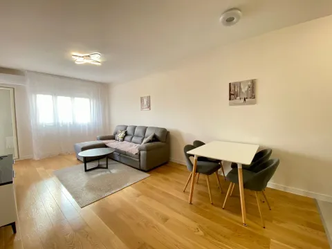 Izdavanje, jednosoban stan, 48m², Central Point, Podgorica - image 2