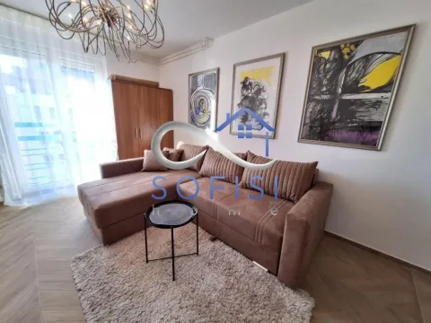Izdavanje, stan, 29m², Bulevar Oslobodjenja, Novi Sad Sve Podlokacije - image 3