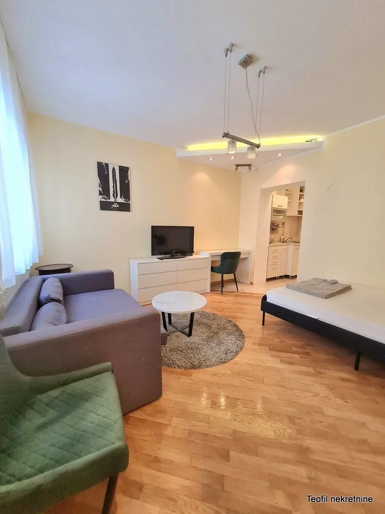 Izdavanje, jednosoban stan, 25m², Vračar, Šid