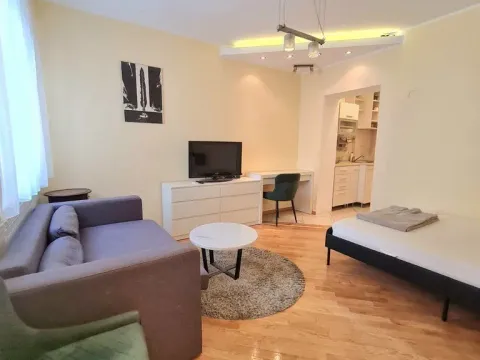 Izdavanje, jednosoban stan, 25m², Vračar, Šid - image 7
