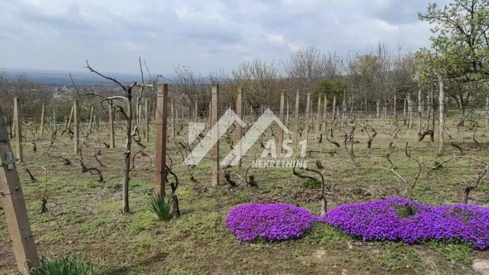 Prodaja, kuća, 70m², Novi Slankamen, Inđija