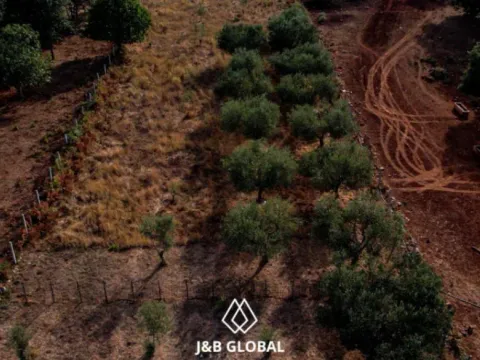 Prodaja, plac, 2600m², Krimovica, Kotor - image 4