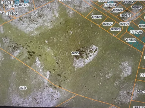 Prodaja, plac, 23378m², Borje, Žabljak - image 2