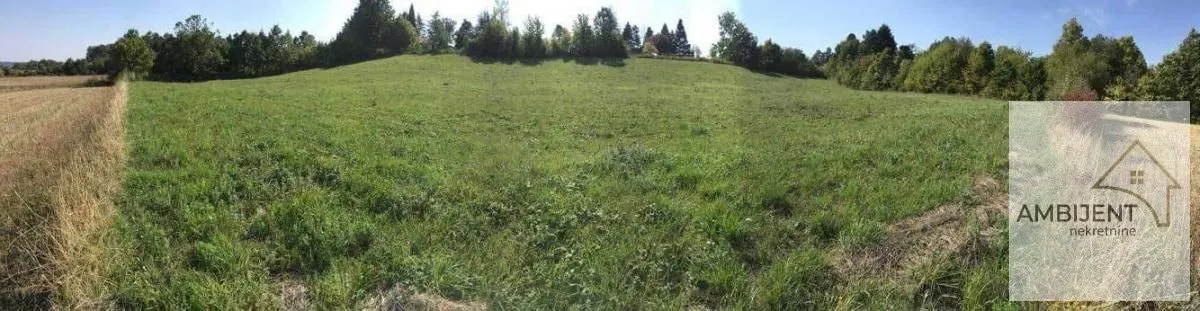 Pogled na prostrano zeleno zemljište sa drvećem u pozadini.