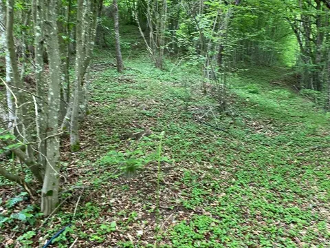 Prodaja, plac, 13789m², Bijelo Polje, Podgorica - image 10