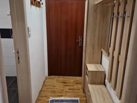 Izdavanje, dvosoban stan, 50m², Bulevar Oslobodjenja, Novi Sad Sve Podlokacije - image 6