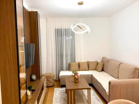 Izdavanje, jednosoban stan, 47m², New City, Podgorica - image 3
