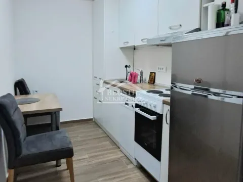 Rent, one bedroom apartment, 23m², Brace Jerković, Voždovac Sve Podlokacije - image 5