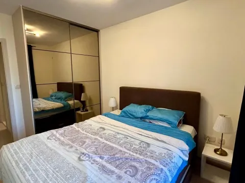 Izdavanje, jednosoban stan, 49m², Vezirov Most, Podgorica - image 8