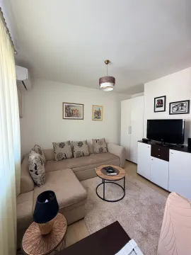 Izdavanje, garsonjera, 30m², Centar, Cetinje - image 4