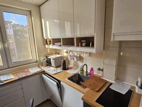 Rent, two bedroom apartment, 55m², Karaburma, Palilula Sve Podlokacije - image 6