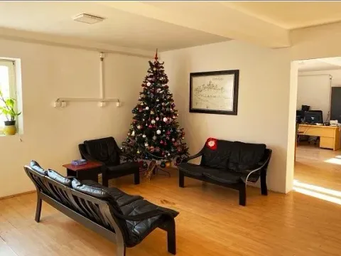 Izdavanje, poslovni prostor, 700m², Altina, Beograd - image 4