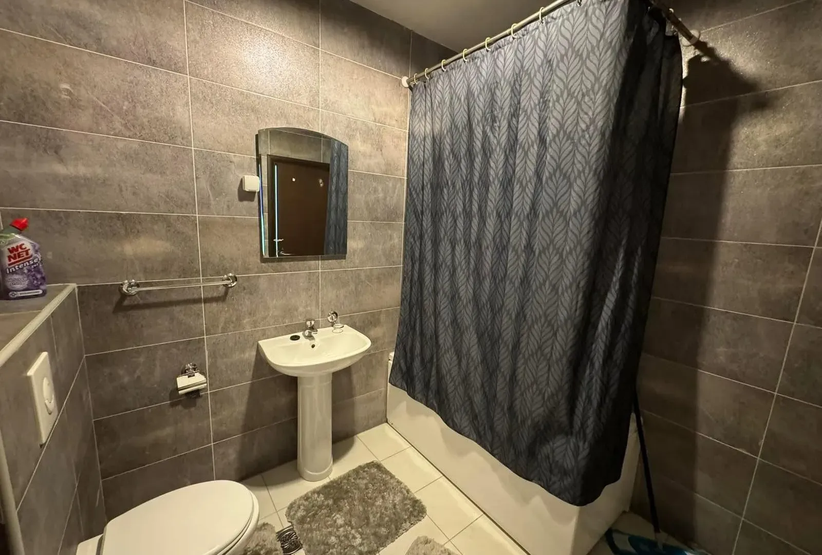 Rent, one bedroom apartment, 55m², Vezirov Most, Podgorica