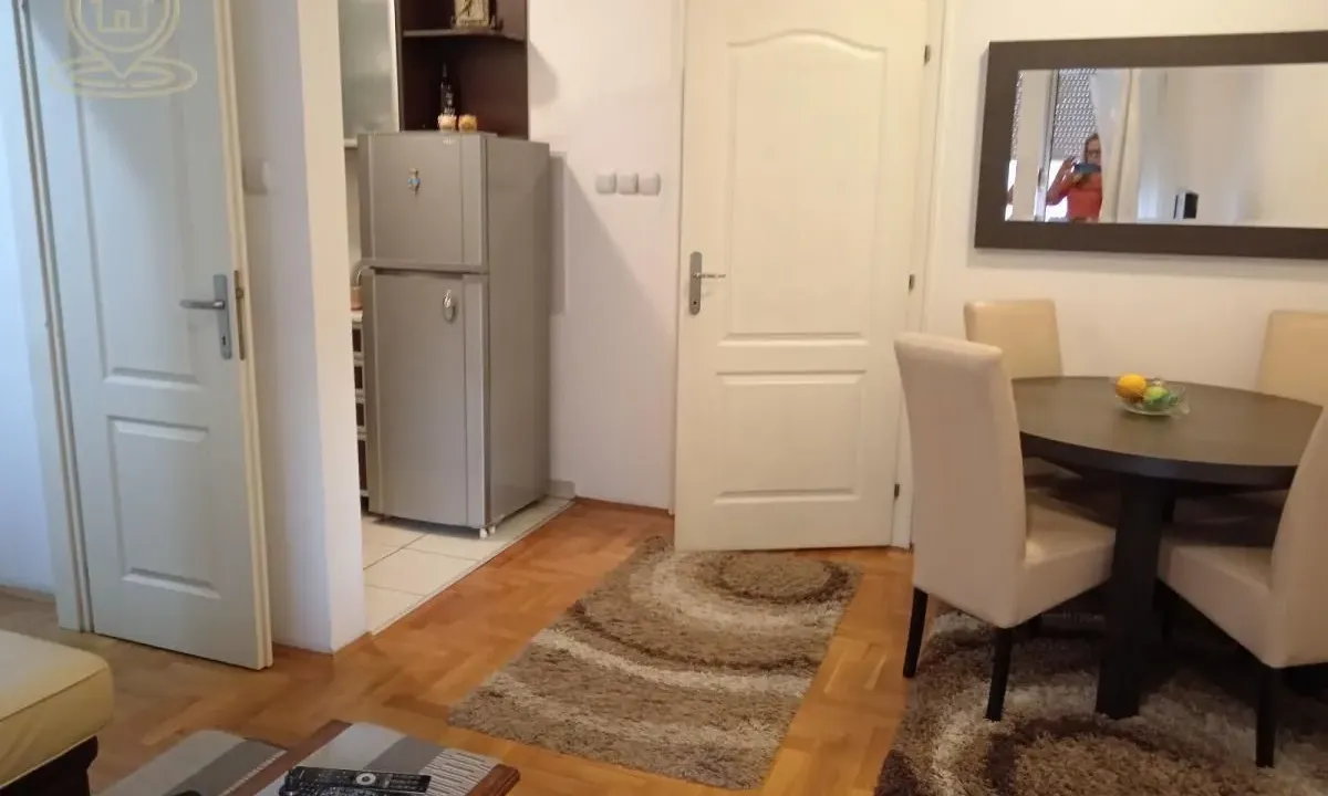 Rent, one bedroom apartment, 30m², Nova Detelinara, Novi Sad Sve Podlokacije