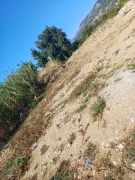 Pogled na zemljište sa niskim rastinjem i drvećem u pozadini. - image 9