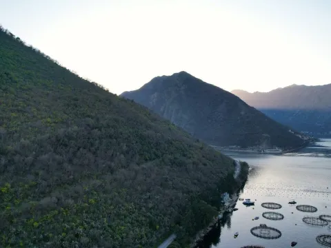 Prodaja, plac, 19000m², Stoliv, Kotor - image 9