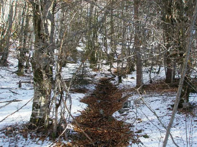 Prodaja, plac, 100000m², Kolašin, Crna Gora