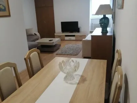 Izdavanje, jednosoban stan, 40m², Savski Venac, Beograd - image 12