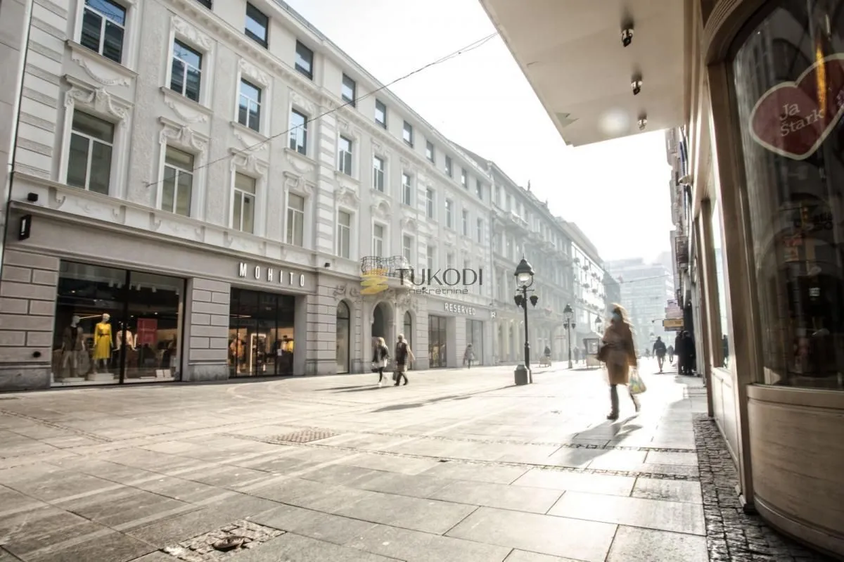 Izdavanje, dvosoban stan, 58m², Stari Grad, Beograd