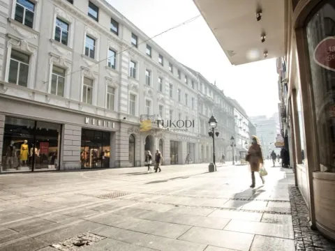 Rent, two bedroom apartment, 58m², Stari Grad, Beograd - image 4