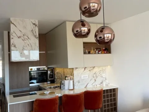 Izdavanje, dvosoban stan, 55m², Vračar Hram, Vračar Sve Podlokacije - image 2