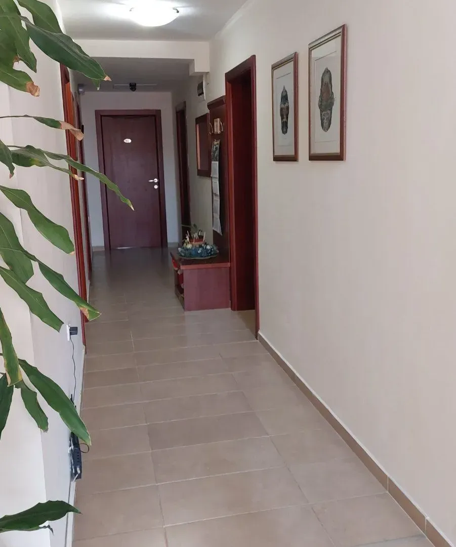 Izdavanje, stan, 24m², Budva, Crna Gora
