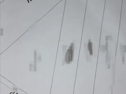 Sale, land lot, 5000m², Bački Petrovac, Novi Sad - image 3