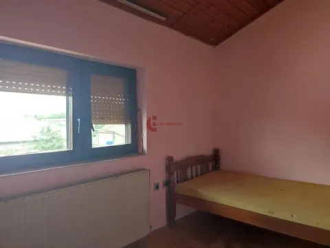 Prodaja, kuća, 353m², Peščara, Subotica - image 16