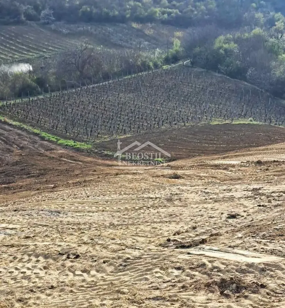 Prodaja, plac, 4966m², Brestovik, Grocka
