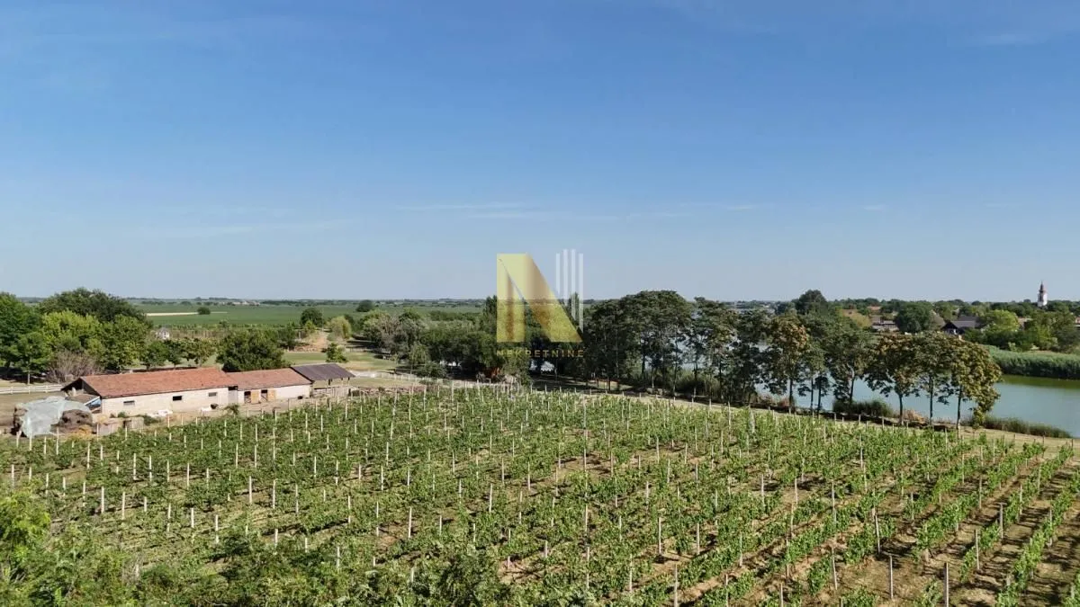 Prodaja, kuća, 230m², Srbobran, Novi Sad