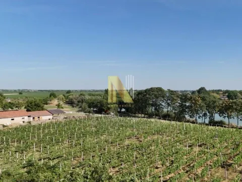 Sale, house, 230m², Srbobran, Novi Sad - image 72