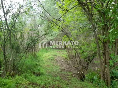 Prodaja, kuća, 45m², Perlez, Zrenjanin - image 6