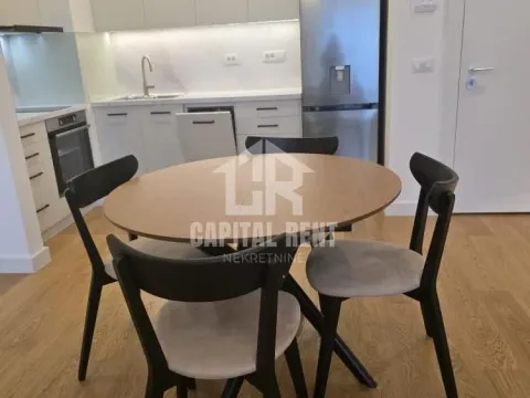 Izdavanje, dvosoban stan, 58m², Vračar Centar, Vračar Sve Podlokacije - image 9