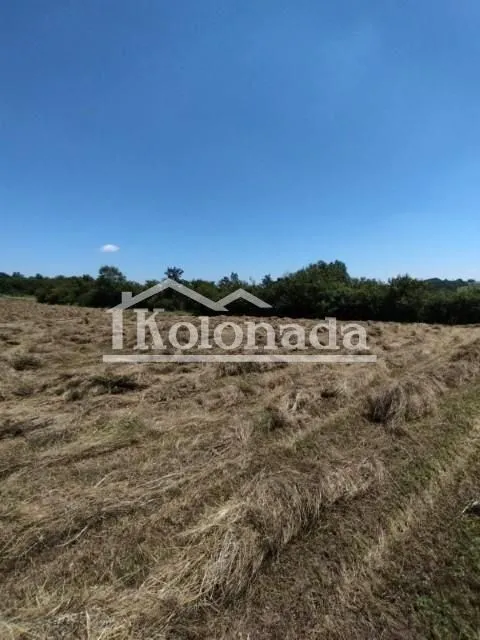 Prodaja, plac, 21800m², Babe, Sopot
