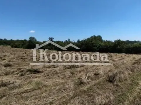 Sale, land lot, 21800m², Babe, Sopot - image 2