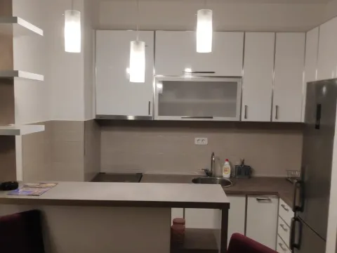 Izdavanje, jednosoban stan, 45m², City Kvart, Podgorica - image 5