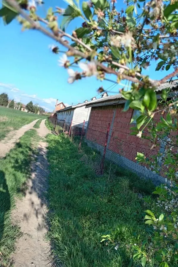 Rent, office space, 500m², Pudarci, Grocka
