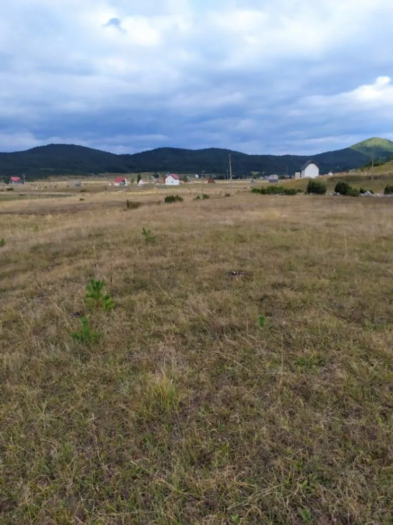 Prodaja, plac, 13600m², Njegovuđa, Žabljak