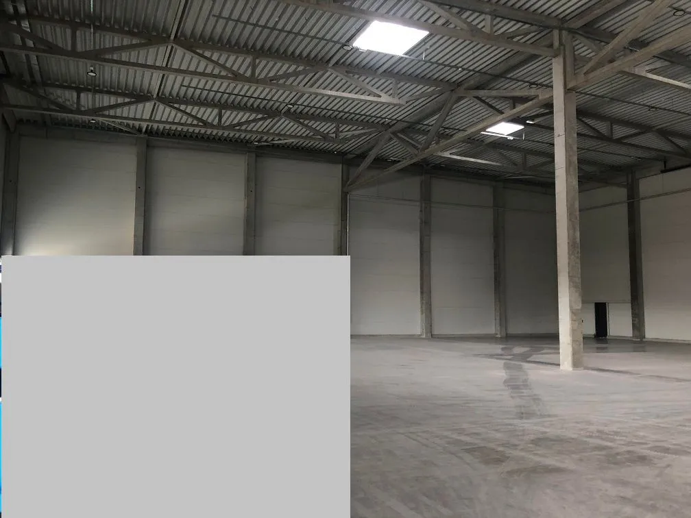 Rent, office space, 1500m², Zemun Sve Podlokacije, Beograd
