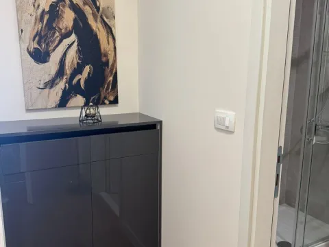 Izdavanje, jednosoban stan, 45m², Central Point, Podgorica - image 5