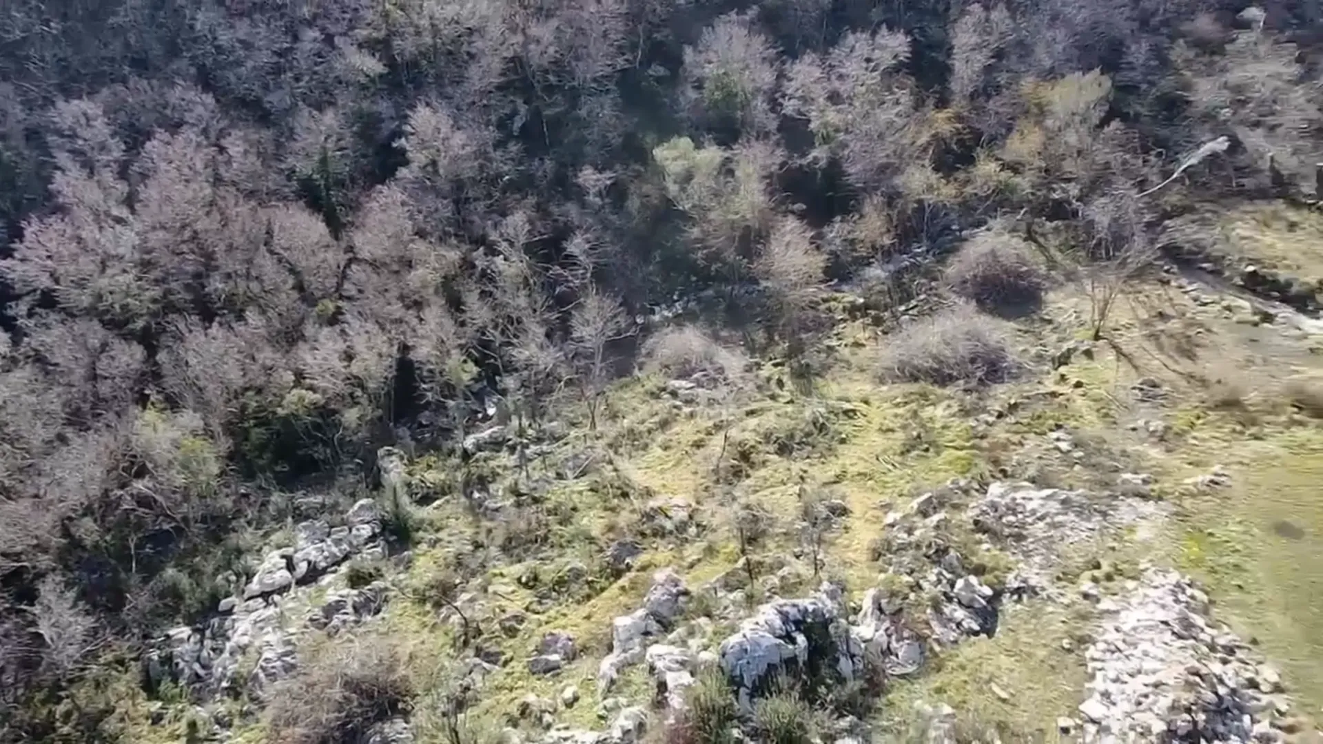 Prodaja, plac, 4860m², Podi, Herceg Novi