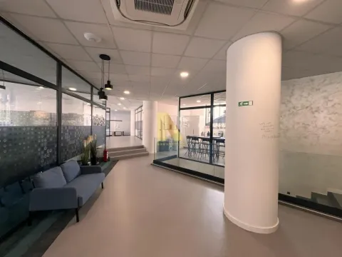 Izdavanje, poslovni prostor, 452m², Bulevar Oslobodjenja, Novi Sad Sve Podlokacije - image 4