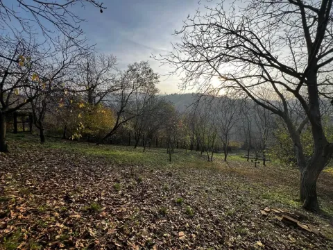 Prodaja, kuća, 139m², Petrovaradin, Novi Sad - image 33