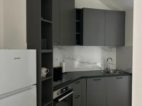 Rent, one bedroom apartment, 45m², Zagorič, Podgorica - image 3