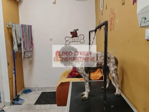 Sale, office space, 10m², Cvijićeva, Palilula Sve Podlokacije - image 2